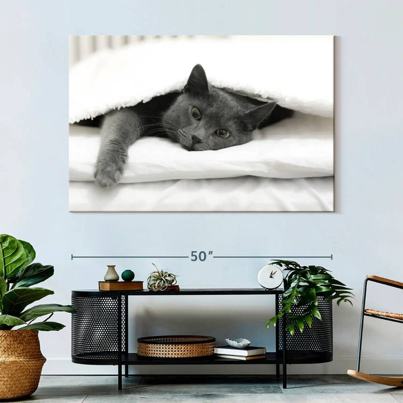 Brampt Lazy Cat, 34" H x 51" W