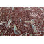 Tapis beige / gris en laine noué à la main à motif floral 5 pi 11 po x 8 pi 9 po Floral