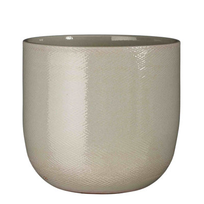 Allaura Ceramic Pot Planter