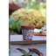 Pot de jardin en céramique émaillée - CHRYSANTHÈME TERRE COTTA (19 cm L x 20 cm H) - Petit pot de fleurs - Intérieur/Extérieur