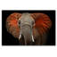 African Elephant Print-38104040-107151205