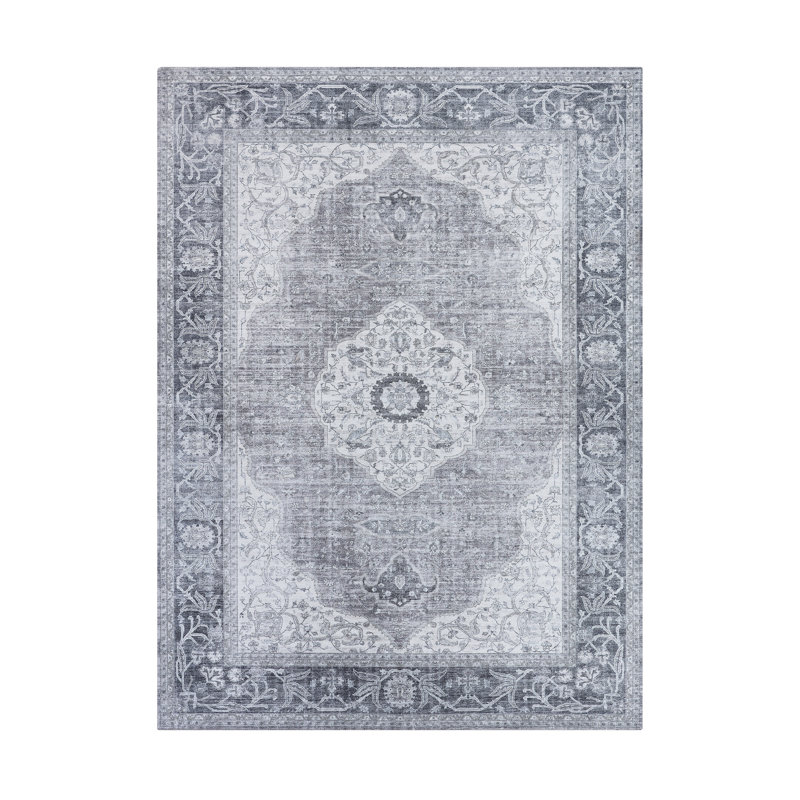 Gweltaz Constance Machine Washable Imagine Printed Chenille Rugs, Rectangle 8' x 11'