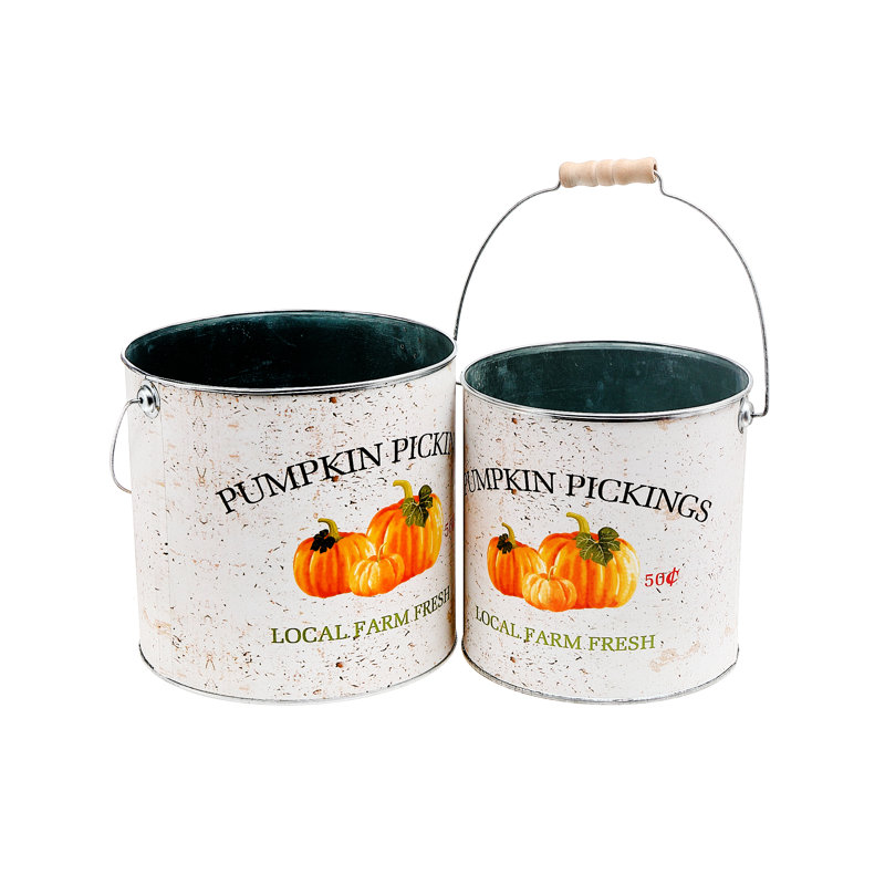 Ensemble de pots à fleurs en métal 2 pièces Amaurie