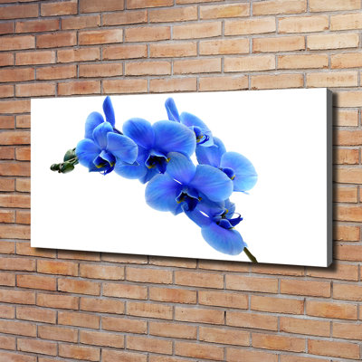 Blue Orchid - Wrapped Canvas Print