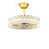 20"Gold