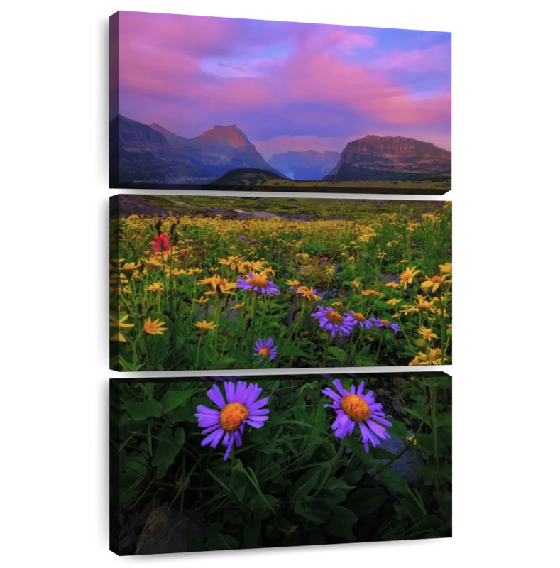 Alvord Glacier Park Flower Field, 38" H x 24" W