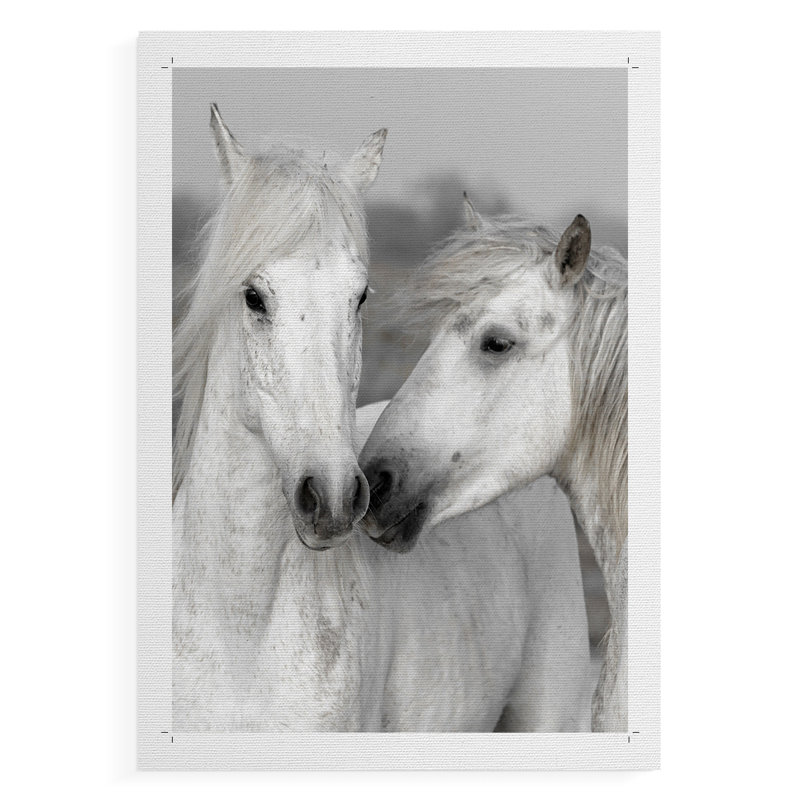 Affection I -Canvas Print Only - NOT FRAMED, 18" H x 12" W
