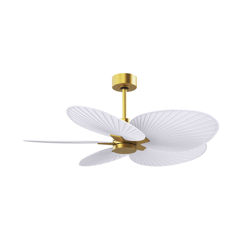 Alessandra - Ventilateur de plafond à cinq pales, Laiton brossé, Blanc mat
