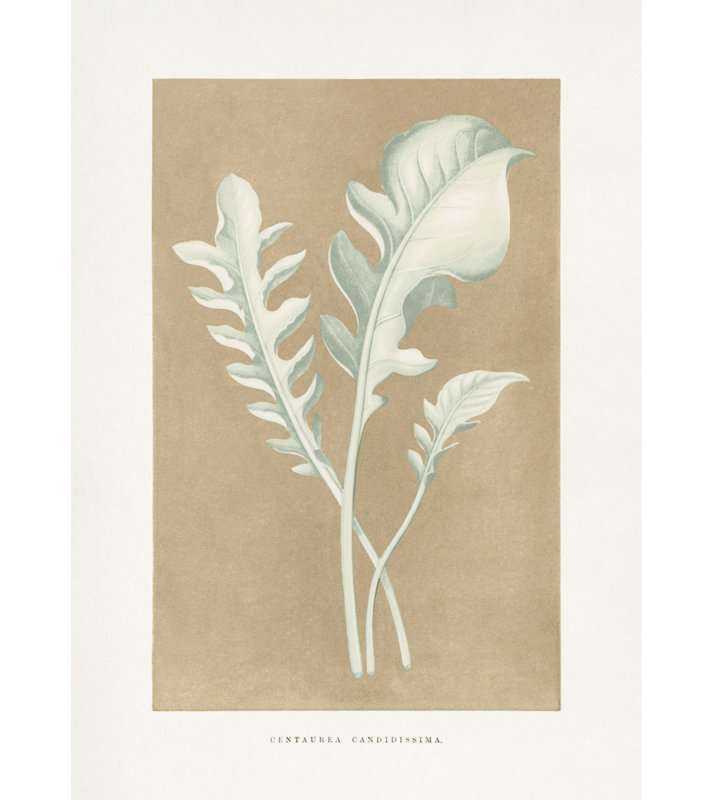 Wrapped Canvas Print, 121.92 cm H x 81.28 cm W
