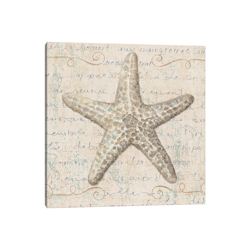 Coastal Beauty by Lisa Audit - Print on Canvas, 45.72 cm H x 45.72 cm W x 1.91 cm D, No Frame