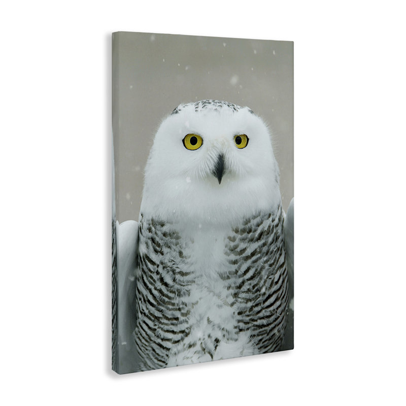 Toile «Snowy Owl» par Carrie Ann Grippo-Pike, H 36 po x l 24 po x P 1,5 po