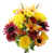 Yellow/Magenta/Coral is out of stock