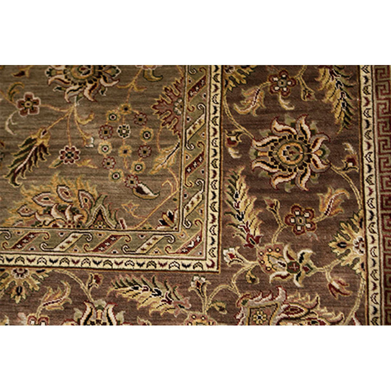 Oriental Area Rug in Brown