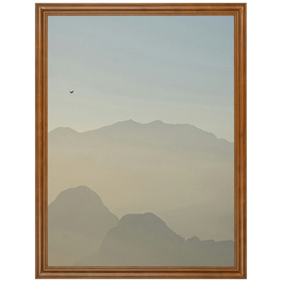 5x7 Picture Frame Brown Value Added Style 75022-308 , 1.25 Inch MDF Moulding , Includes Glass and Backing , Wall Display Frame for Art, Posters, or Photos 