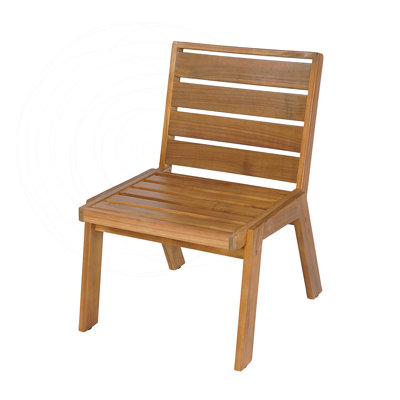 Set of 2 Outdoor Dining Chairs with Acacia Wood and Cushions