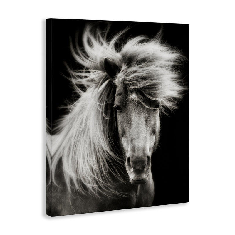 Art mural cheval sur fond noir avec crinière de vent, design par PHBurchett, 48" H x 36" W