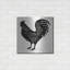«Rooster Strut Your Stuff» par Cindy Jacobs-282561962