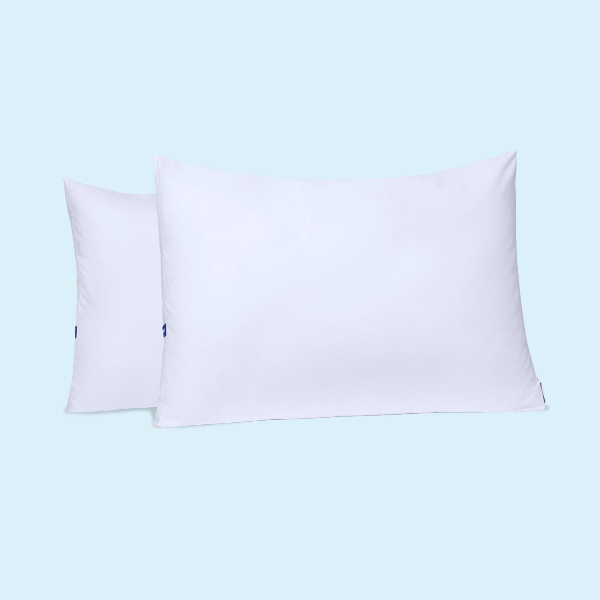 Casper Sleep Essential Pillow, Standard, Two Pack Wayfair