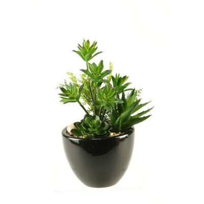 11.5'' Faux Plant in Ceramic Planter