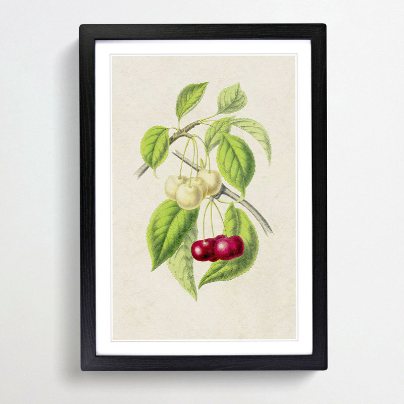 Illustration of Cherries - Framed Print, 48cm H x 36cm W x 2cm D, Black Framed