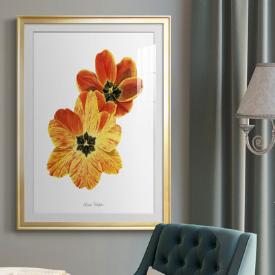 Olive's Tulips II, reproduction encadrée de qualité supérieure, prête à être accrochée