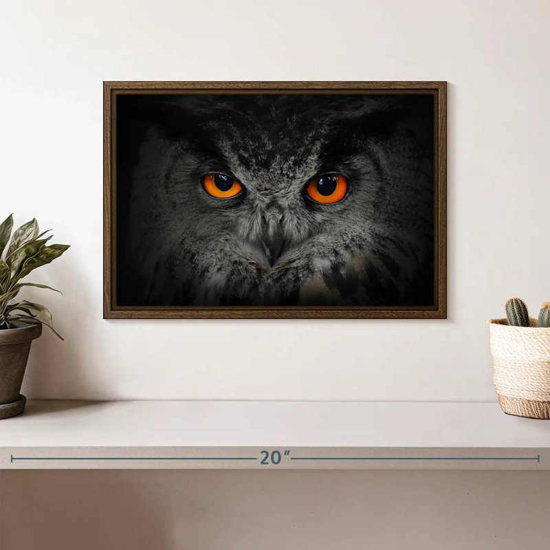 Hibou gris envoûtant, 13 po x 9 po, Cadre flottant noyer