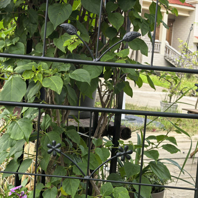 Fenmore Metal Garden Trellis For House Plants And Climbing Vines, 2 Pack, Structure, 71" High, Supports Grapes Roses 20" Wide Trellis, Easy Installation, Beans Jasmine, Adds Layered Interest To