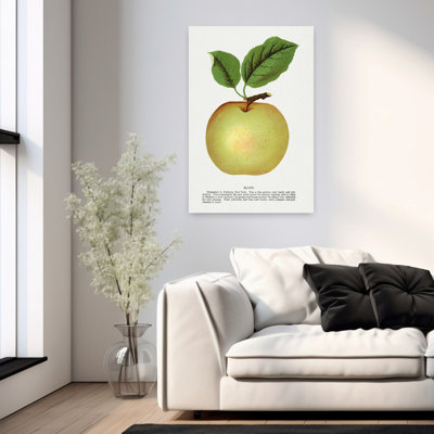 Pomme de lin Mann