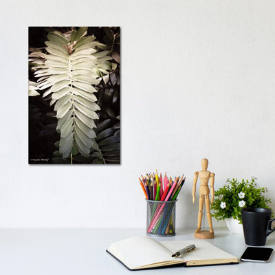 Sunkissed Fern by Melissa Hanley - Wrapped Canvas Gallery-Wrapped Canvas Giclée
