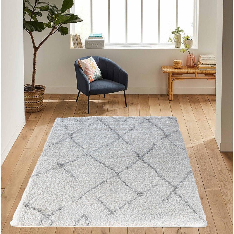 Tehama Geometric Shag Area Rug, Rectangle 200 x 290cm
