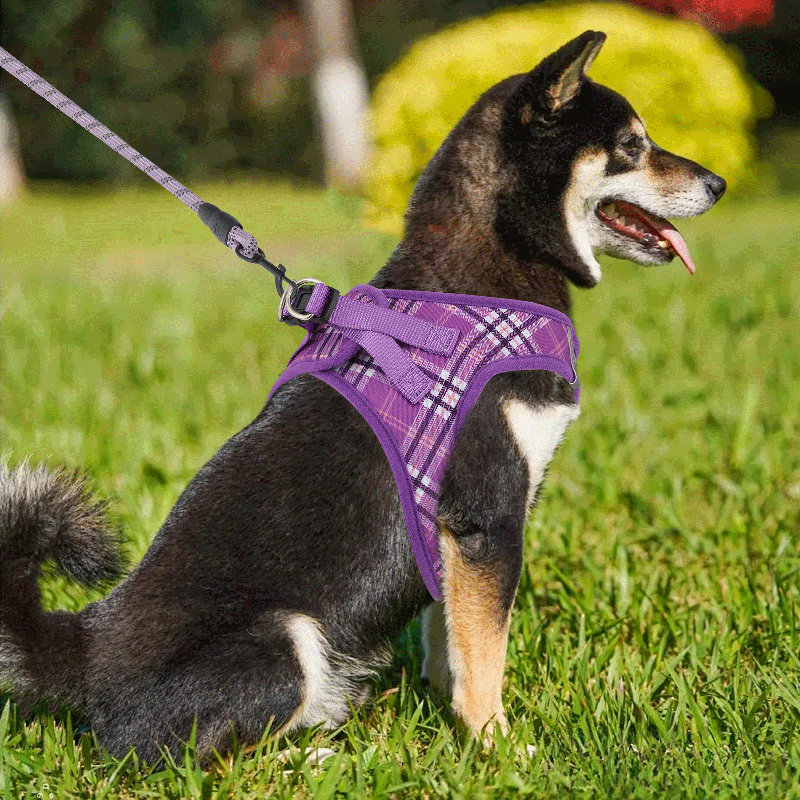 Harnais réglable pour chien avec laisse Gesemyer, Mauve