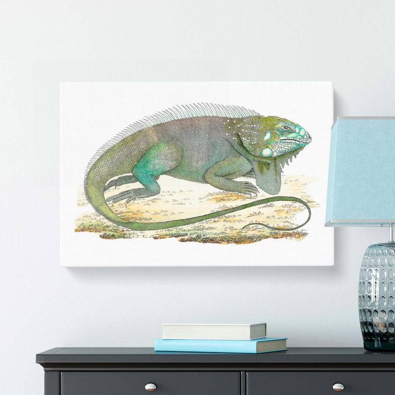 Iguana by George Shaw - Wrapped Canvas, 40cm H x 60cm W x 3cm D