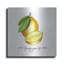 «Illuminating Lemon And Positive Ph» par Sabrina Balbuena-101624287
