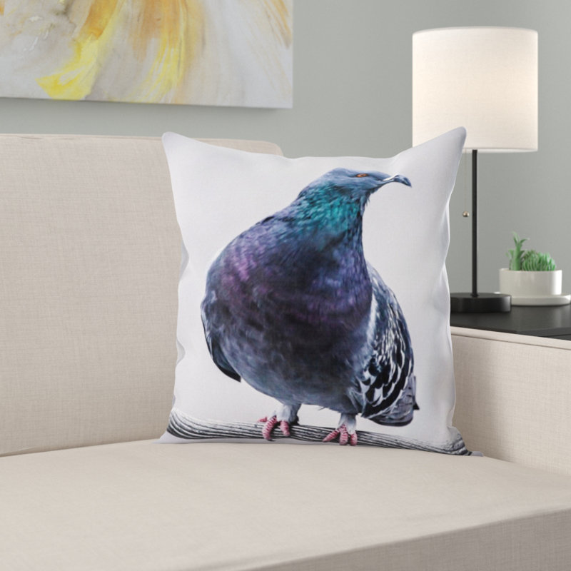 Coussin de pigeon