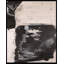 For The Sake Of Love Print-1949893923