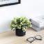 17cm Faux Eucalyptus Plant in Cement Pot
