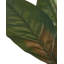 Artificial Plant PURPURATA 130 cm Red