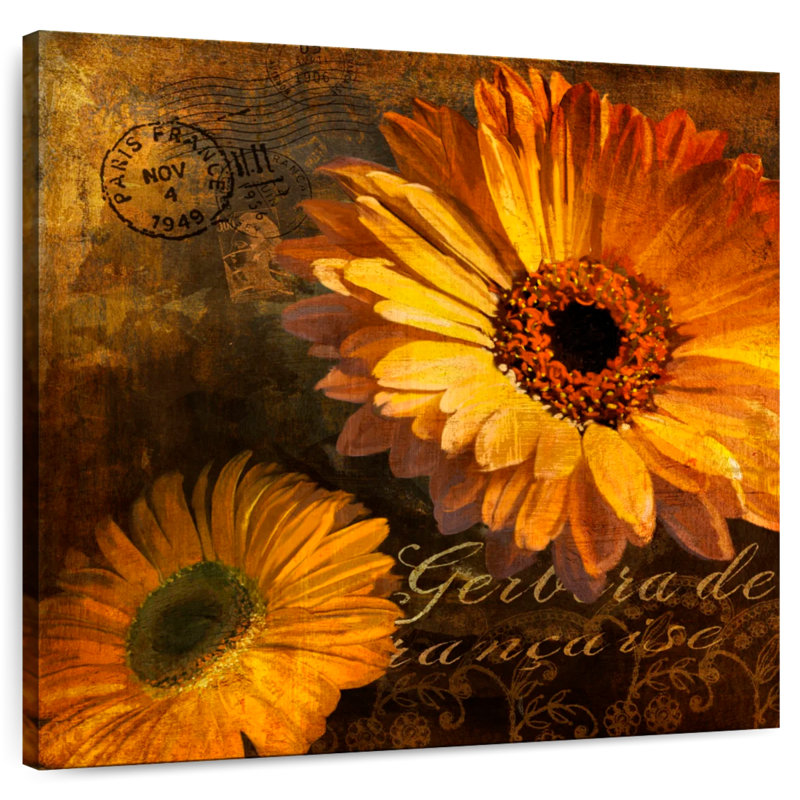 Harnek Gerbera II, H 16 po x l 16 po