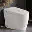 One-Piece Smart Toilet with Bidet, Auto Flush, Heated Seat, and Remote Control