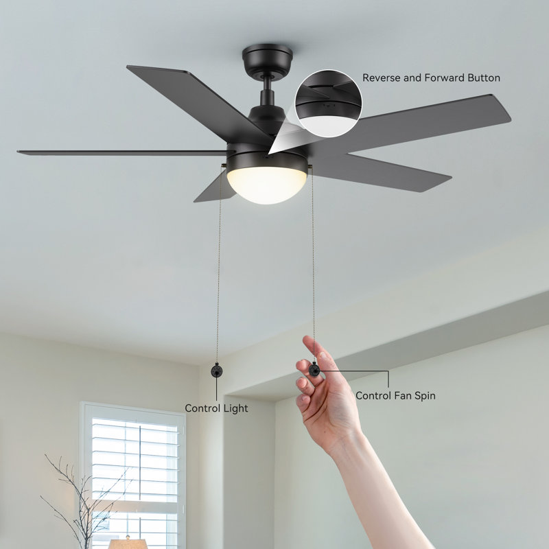 Ventilateur de plafond à chaînette de 52 po avec lumière Kevie