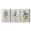 Blue Linen Geranium - ensemble de 3 reproductions sur toiles tendues-205322853