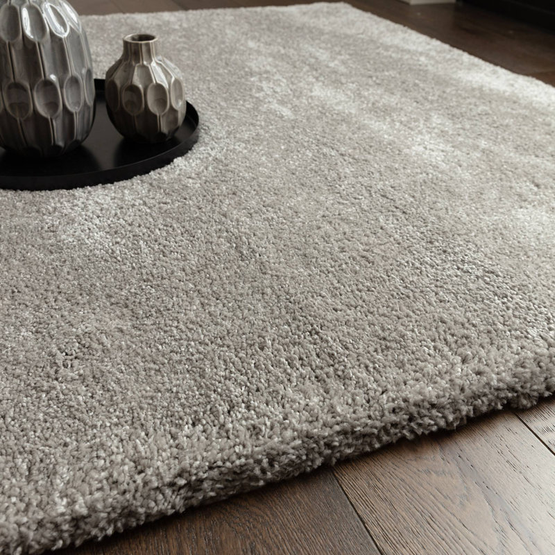 Taiwo Shaggy Silver Area Rug, Rectangle 80 x 150 cm