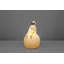 Franco Novelty Lamp