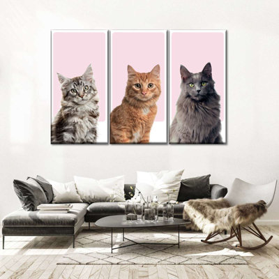 " Cat Breed Colors " 3 - Pieces