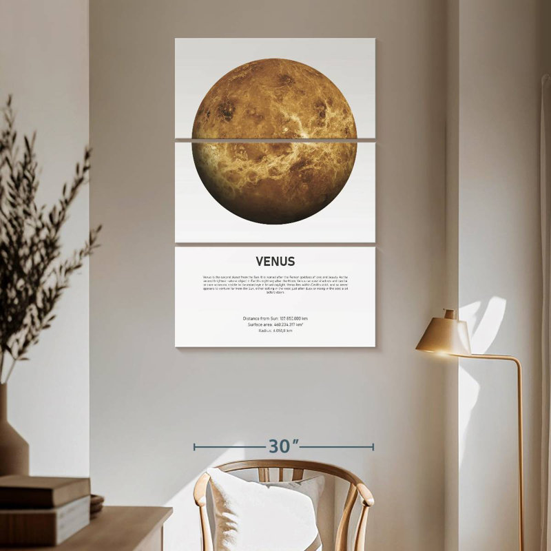 Oberle Venus Light, 65" H x 42" W