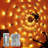 Spider Web Lights With Plush Gaint Spider