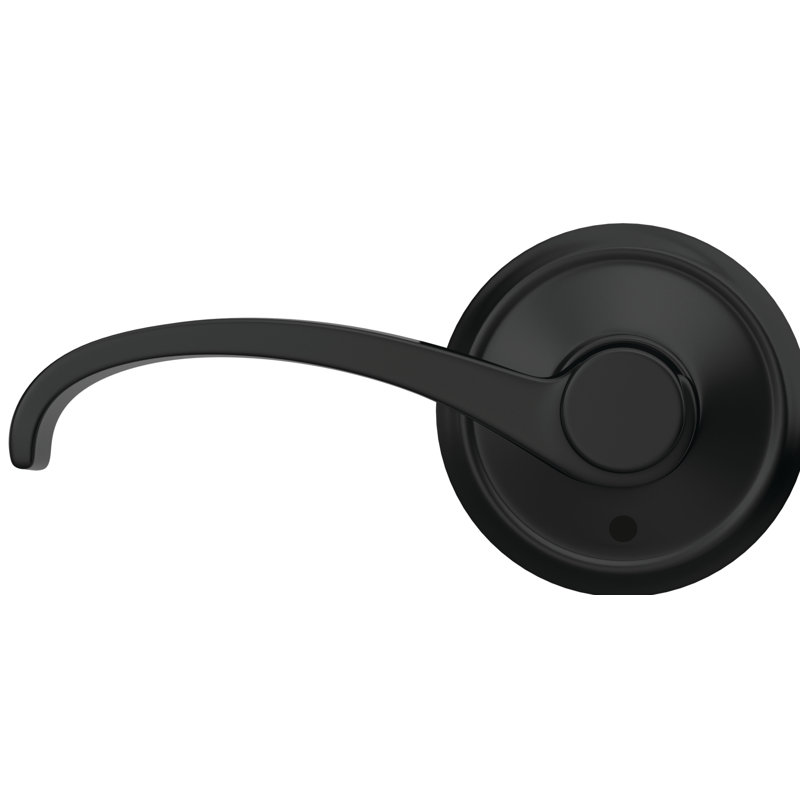 Custom Whitney Non-Turning Lever with Alden Trim, Matte Black