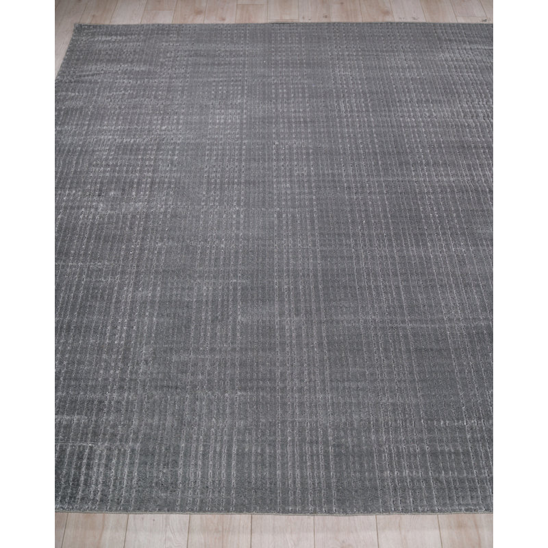 Cabrini Hand Loomed Silky Nilon Striped Area Rug in Gray, Rectangle 4' x 6'