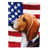Treeing Walker Coonhound sélectionné