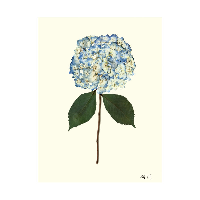Pressed Hydrangea Set by Sandy Whitaker, 35" H x 26" W, Gold Bead 1